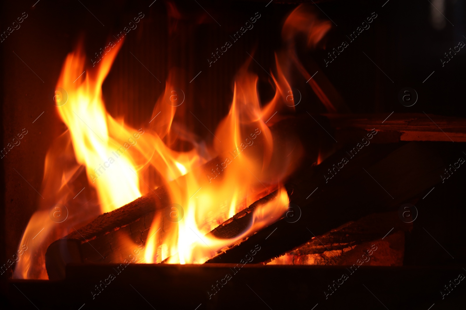 Photo of Bonfire with burning firewood on dark background