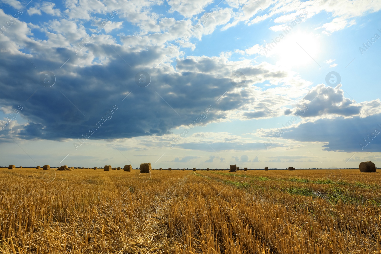 Photo of Beautiful view of agricultural field with hay bales