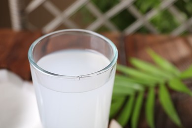 Glass of coconut water on table, closeup