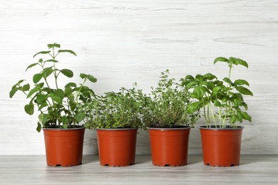 Photo of Different aromatic potted herbs on table against white wooden background