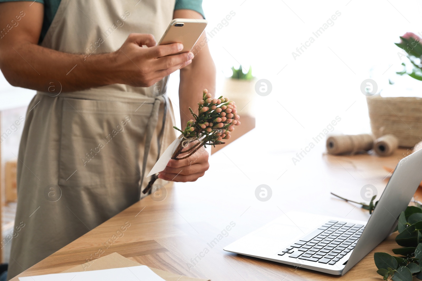 Photo of Florist taking picture of brunia flower in workshop, closeup