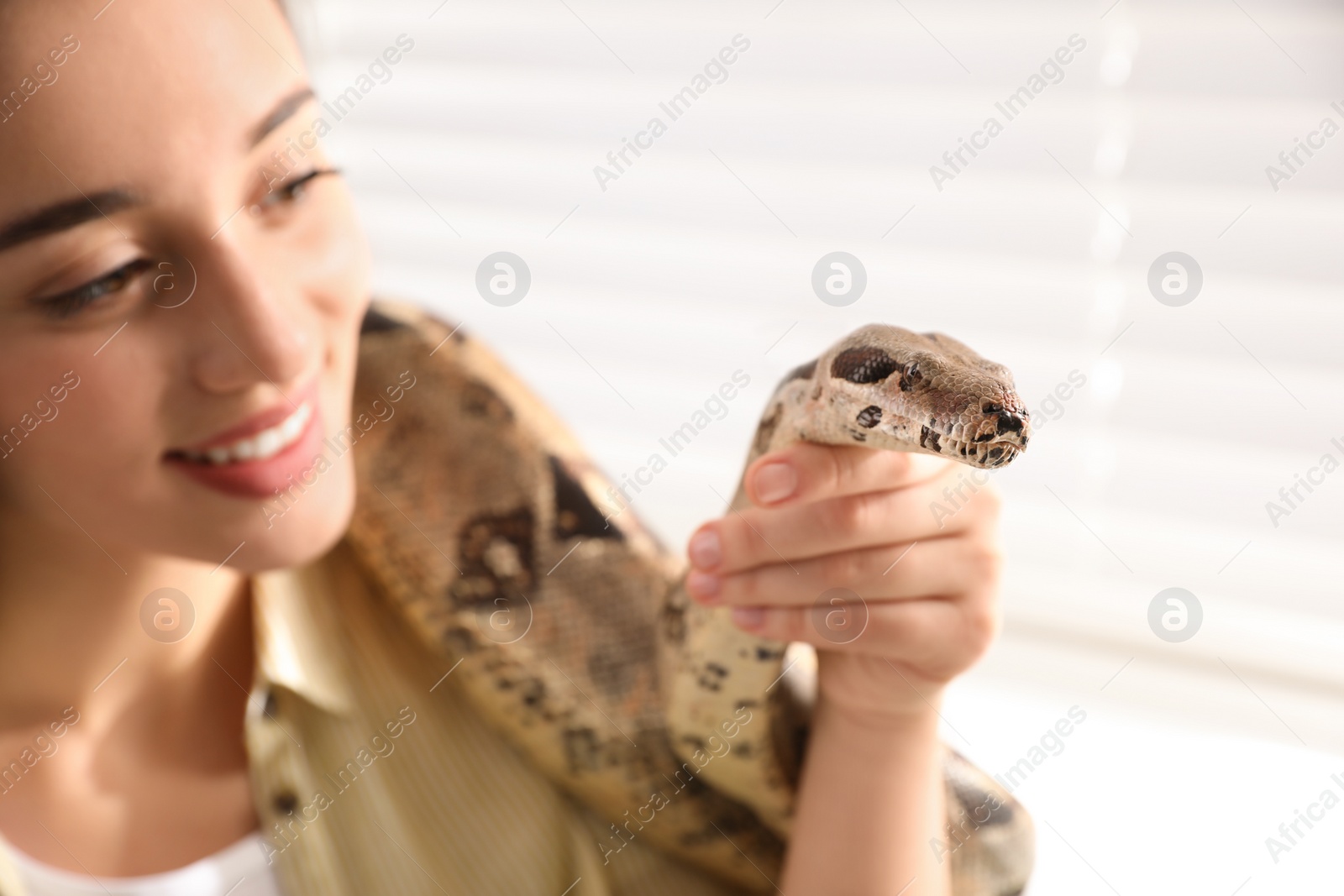 Photo of Young woman with her boa constrictor at home, closeup. Exotic pet