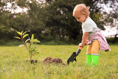 Photo of Cute baby girl planting tree in garden