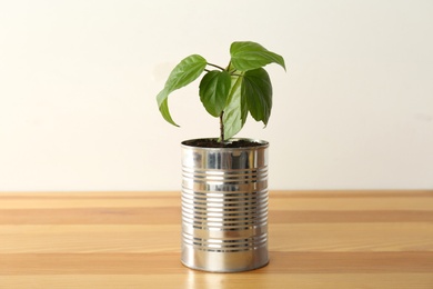 Photo of Hibiscus plant in tin can on wooden table