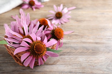 Basket with beautiful blooming echinacea flowers on wooden table, closeup. Space for text