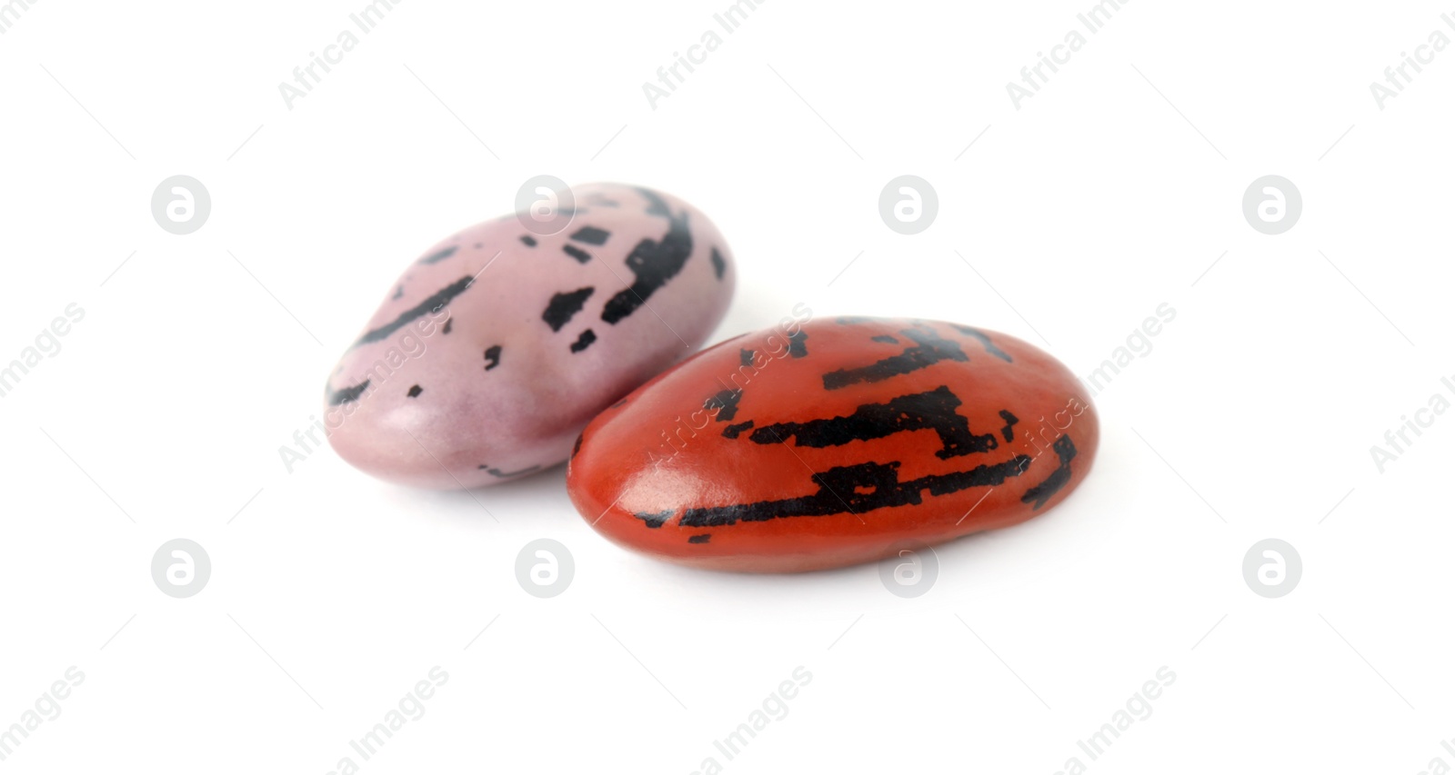 Photo of Raw beans on white background. Vegetable planting