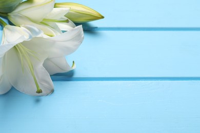 Photo of Beautiful white lily flowers on light blue wooden table, closeup. Space for text