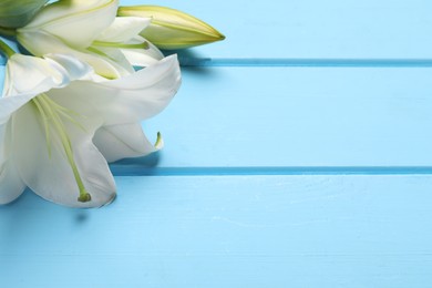 Beautiful white lily flowers on light blue wooden table, closeup. Space for text