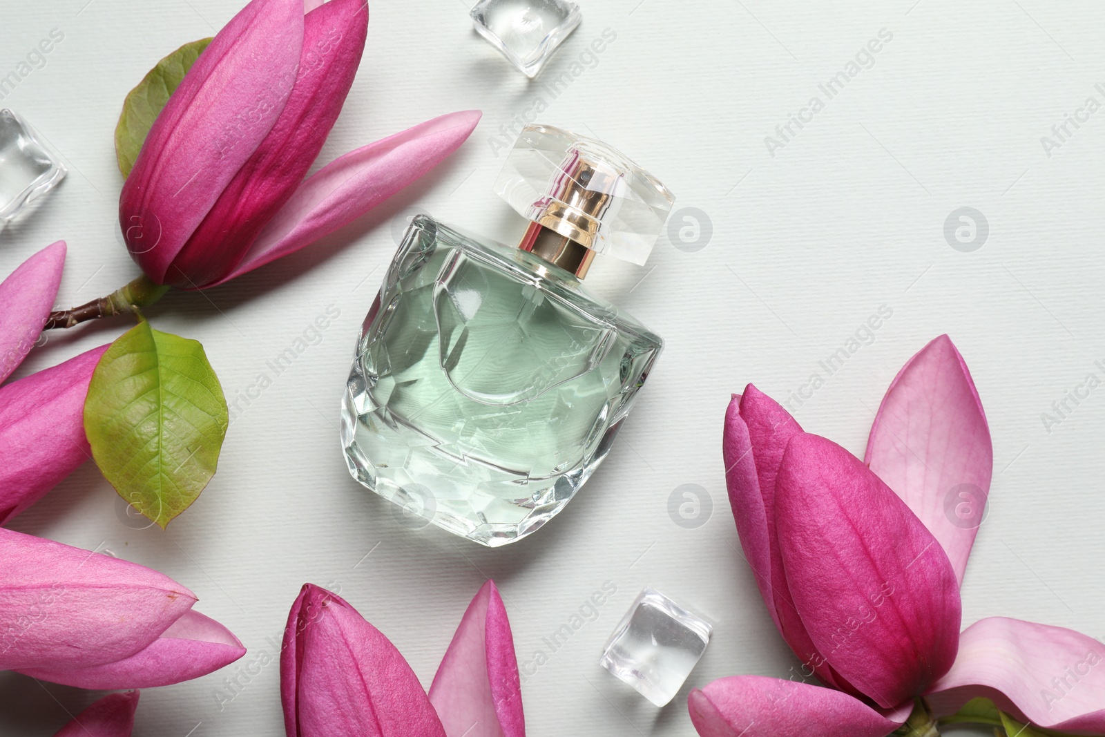 Photo of Beautiful pink magnolia flowers, bottle of perfume and ice cubes on light grey background, flat lay