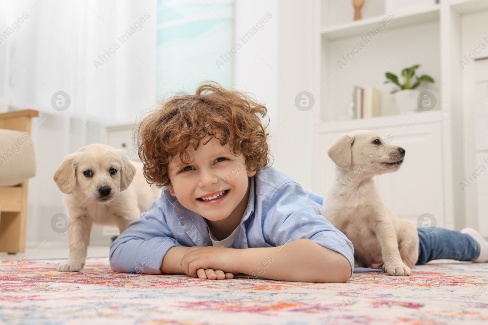 Photo of Little boy lying with cute puppies on carpet at home