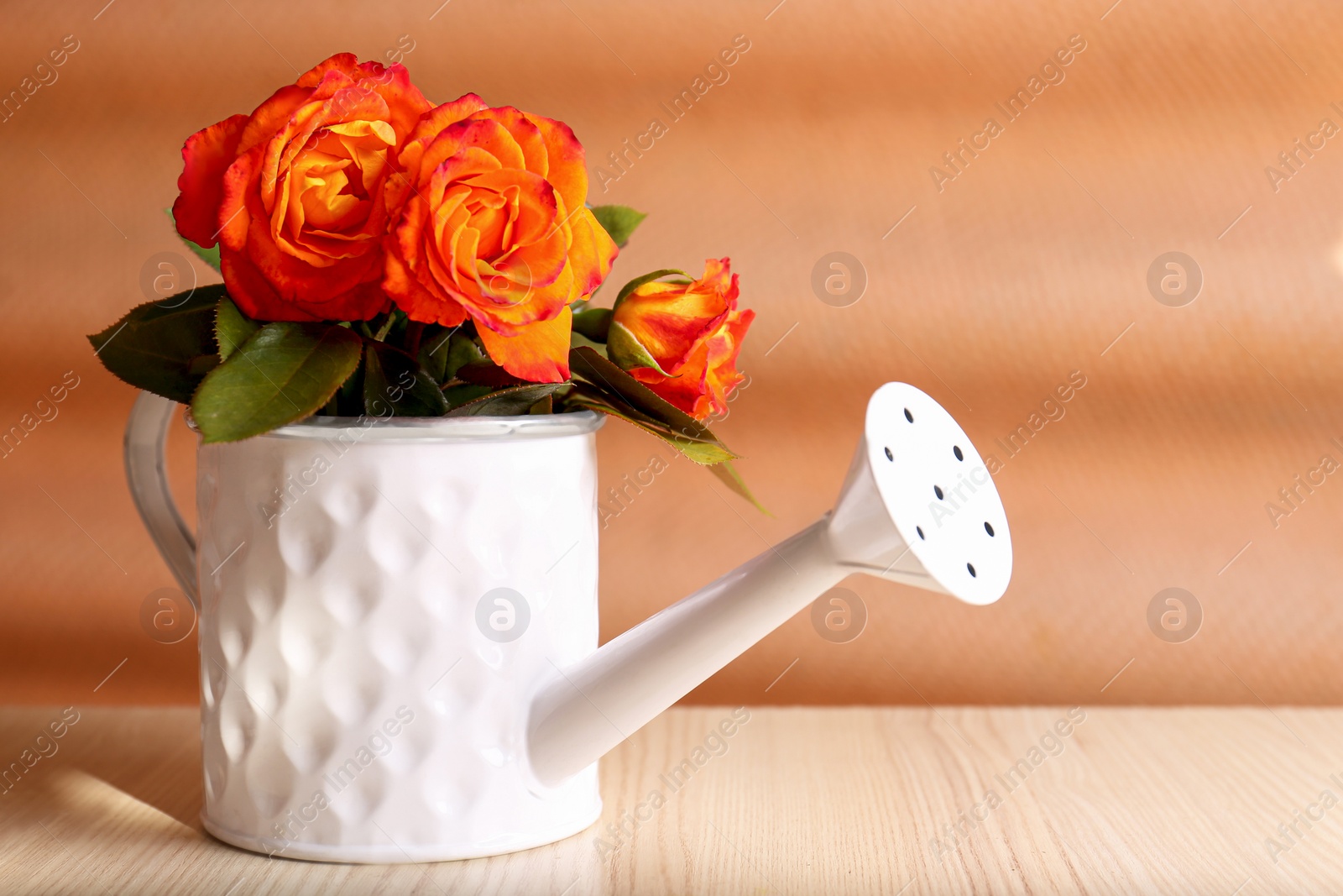 Photo of Stylish watering can with beautiful orange roses on white wooden table