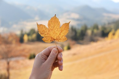 Woman holding beautiful leaf outdoors on autumn day, closeup