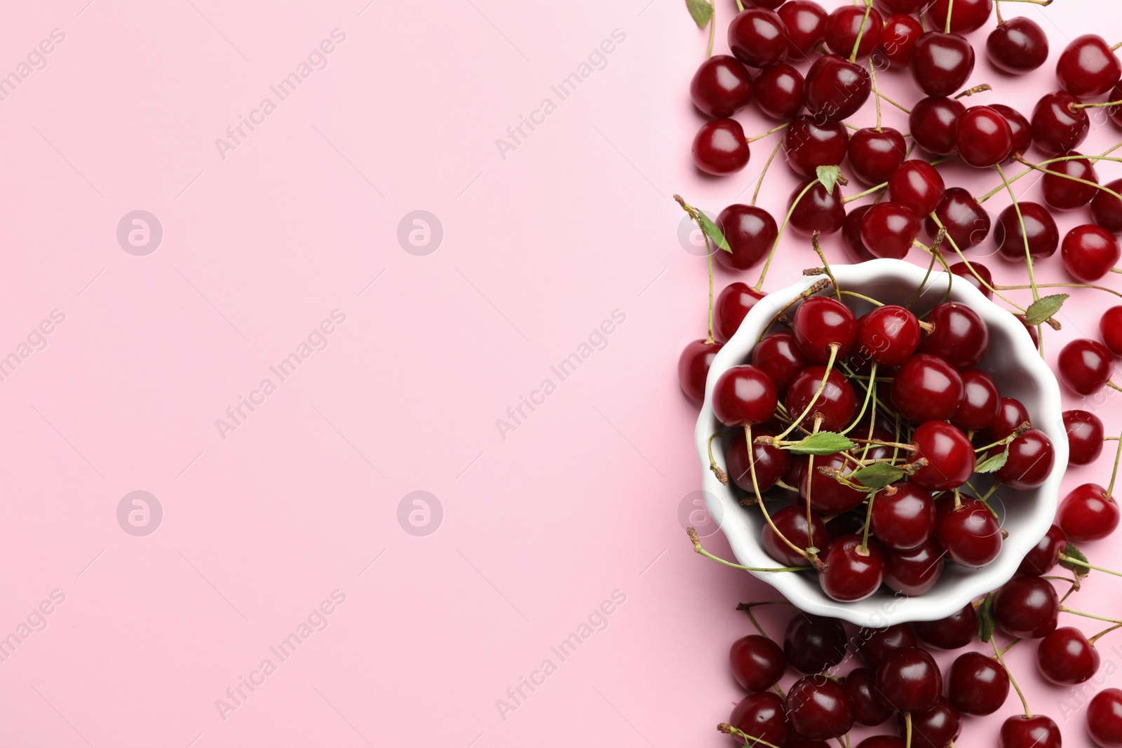 Photo of Composition with bowl of delicious cherries on pink background, flat lay. Space for text