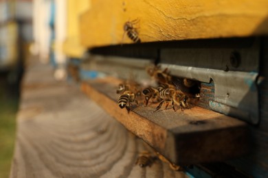 Photo of Closeup viewwooden hive with honey bees on sunny day