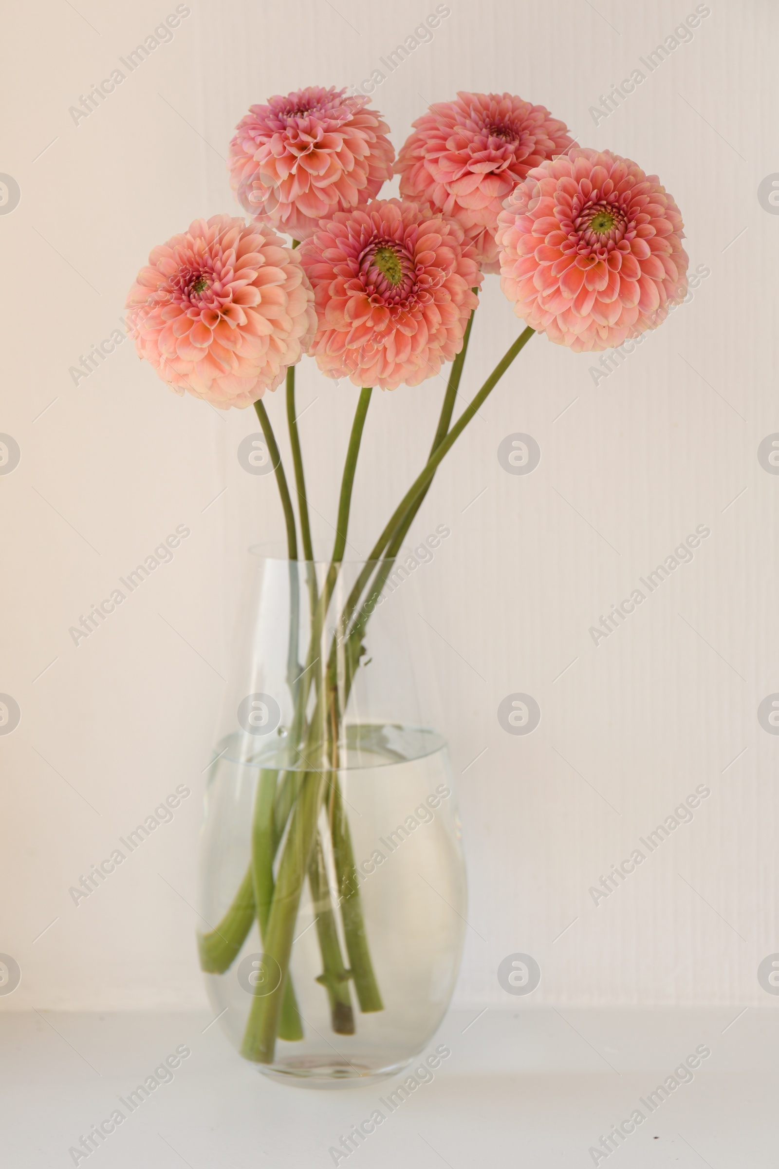 Photo of Bouquet of beautiful dahlia flowers in vase on table against light grey background