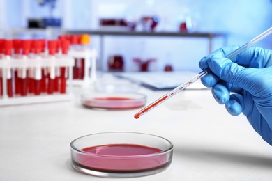 Laboratory worker pipetting blood sample into Petri dish on table, closeup. Research and analysis