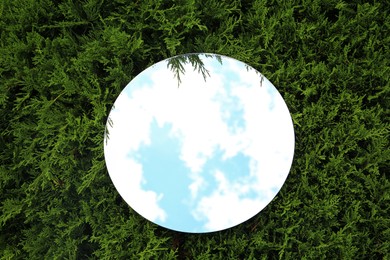 Round mirror on juniper shrub reflecting cloudy sky, top view