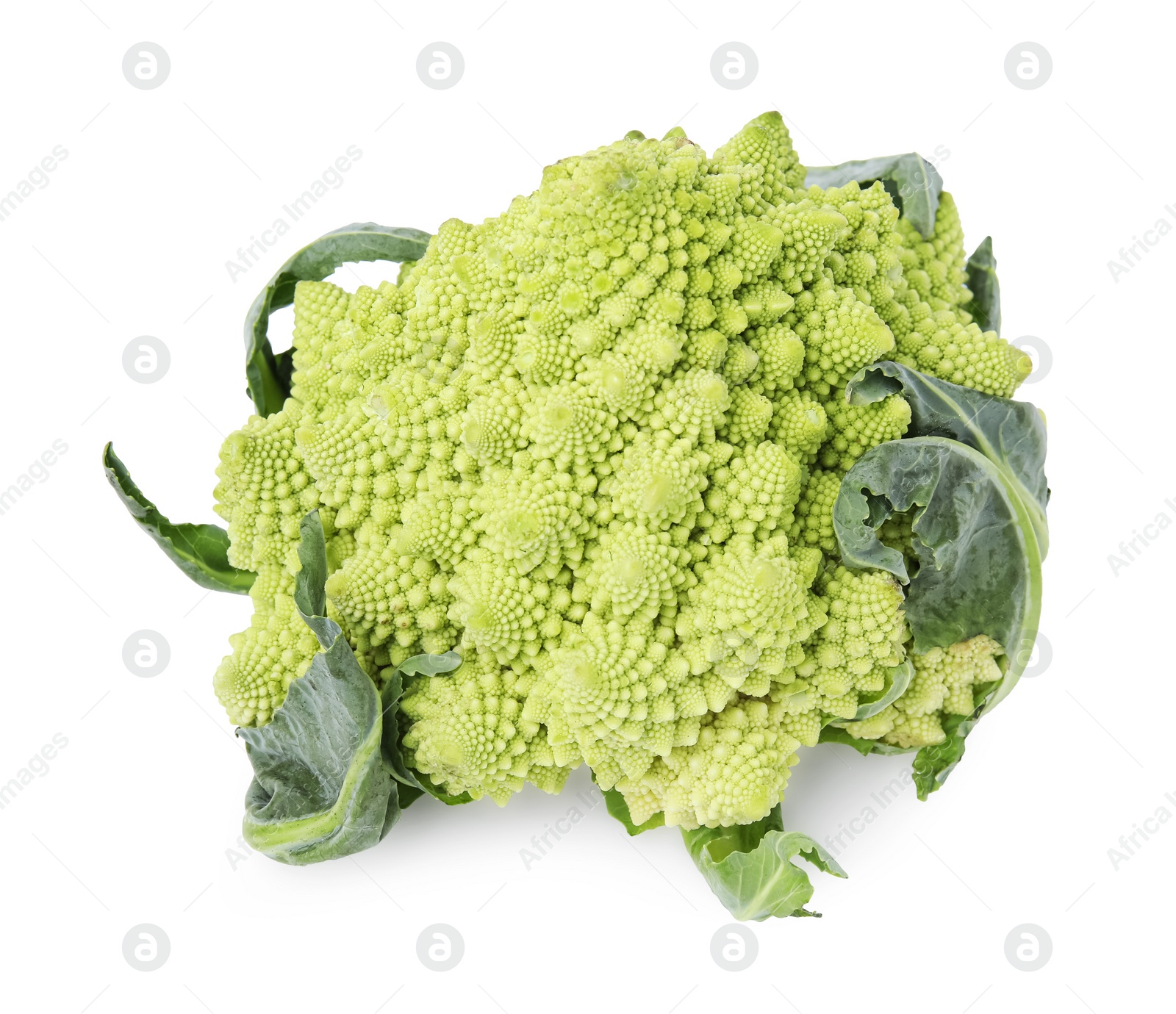Photo of Fresh raw Romanesco broccoli isolated on white