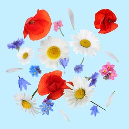 Beautiful meadow flowers falling on light blue background