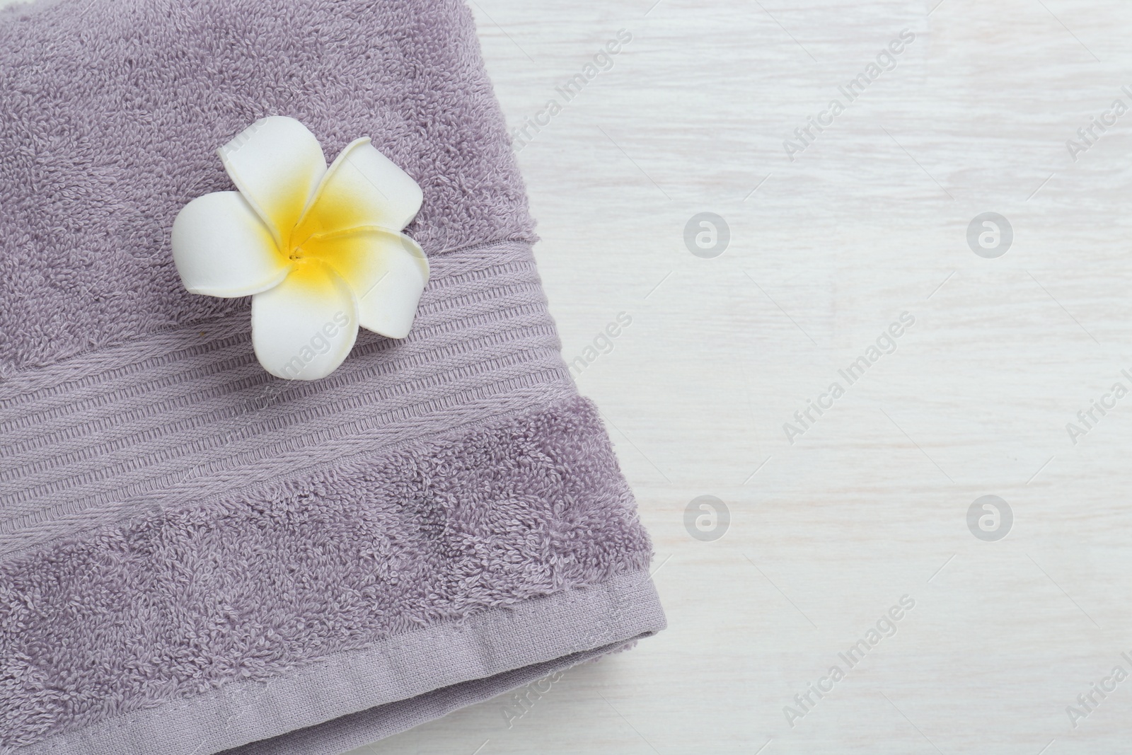 Photo of Violet terry towel and plumeria flower on light wooden table, top view. Space for text