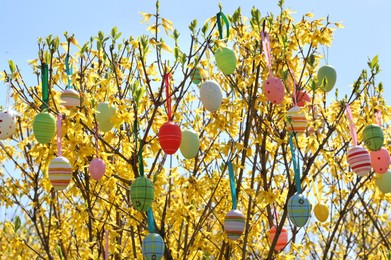 Beautifully painted Easter eggs hanging on tree outdoors