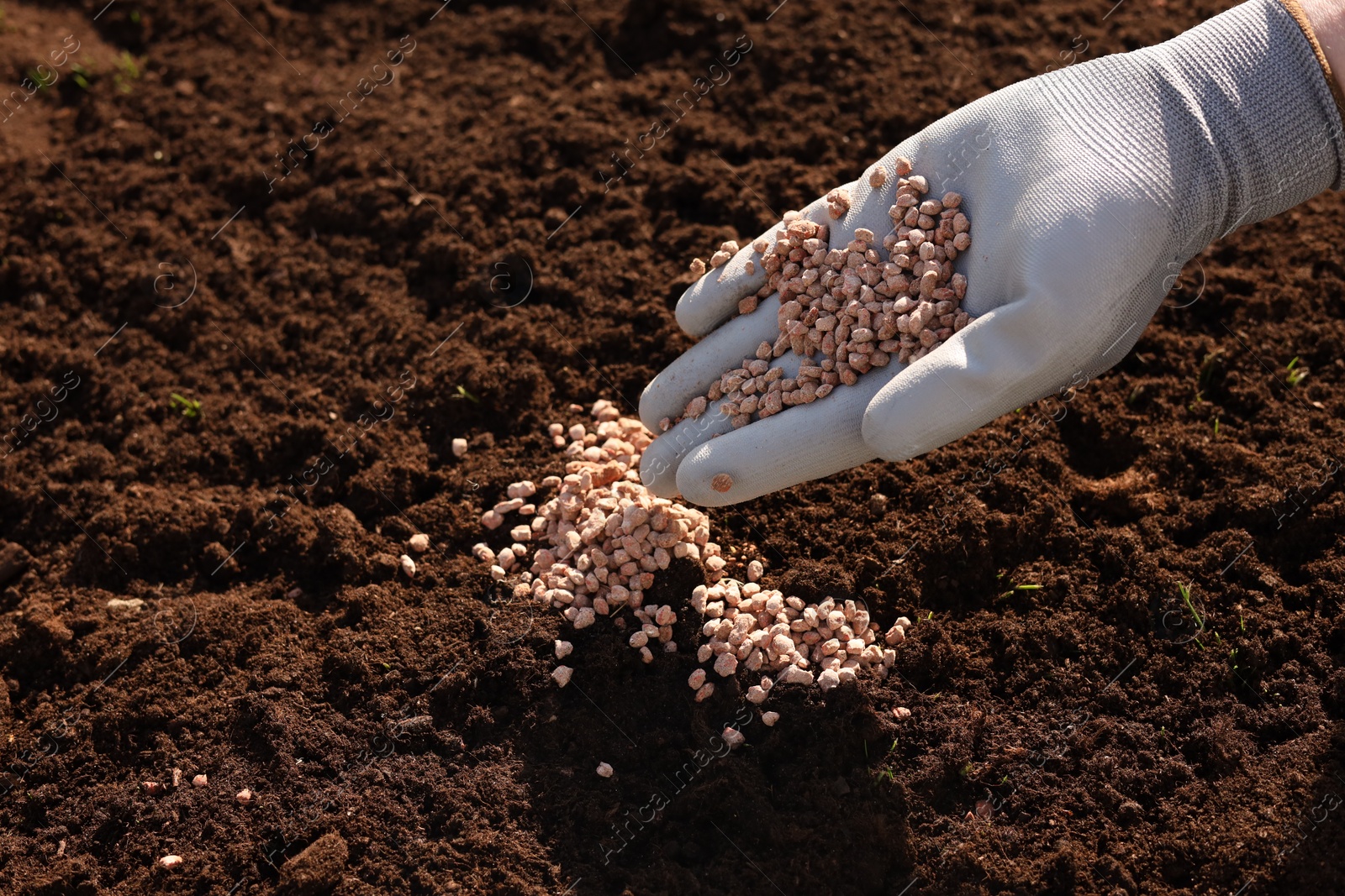 Photo of Man fertilizing soil, closeup. Space for text