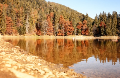 Photo of Beautiful mountain landscape with forest near water