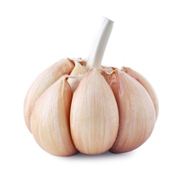 Photo of Fresh garlic on white background. Organic food