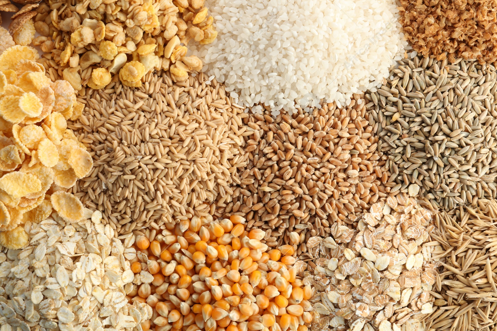 Photo of Different types of grains and cereals as background