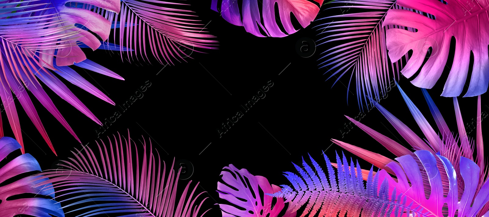 Image of Frame of different tropical leaves in neon colors on black background, banner design. Space for text