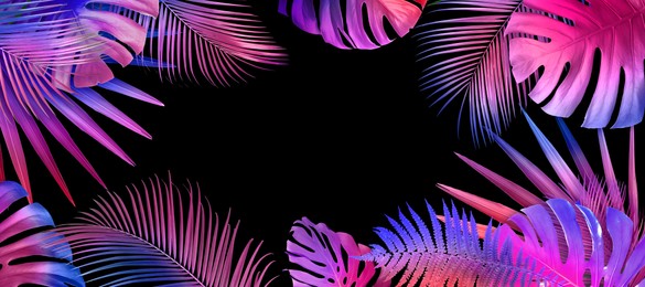 Image of Frame of different tropical leaves in neon colors on black background, banner design. Space for text