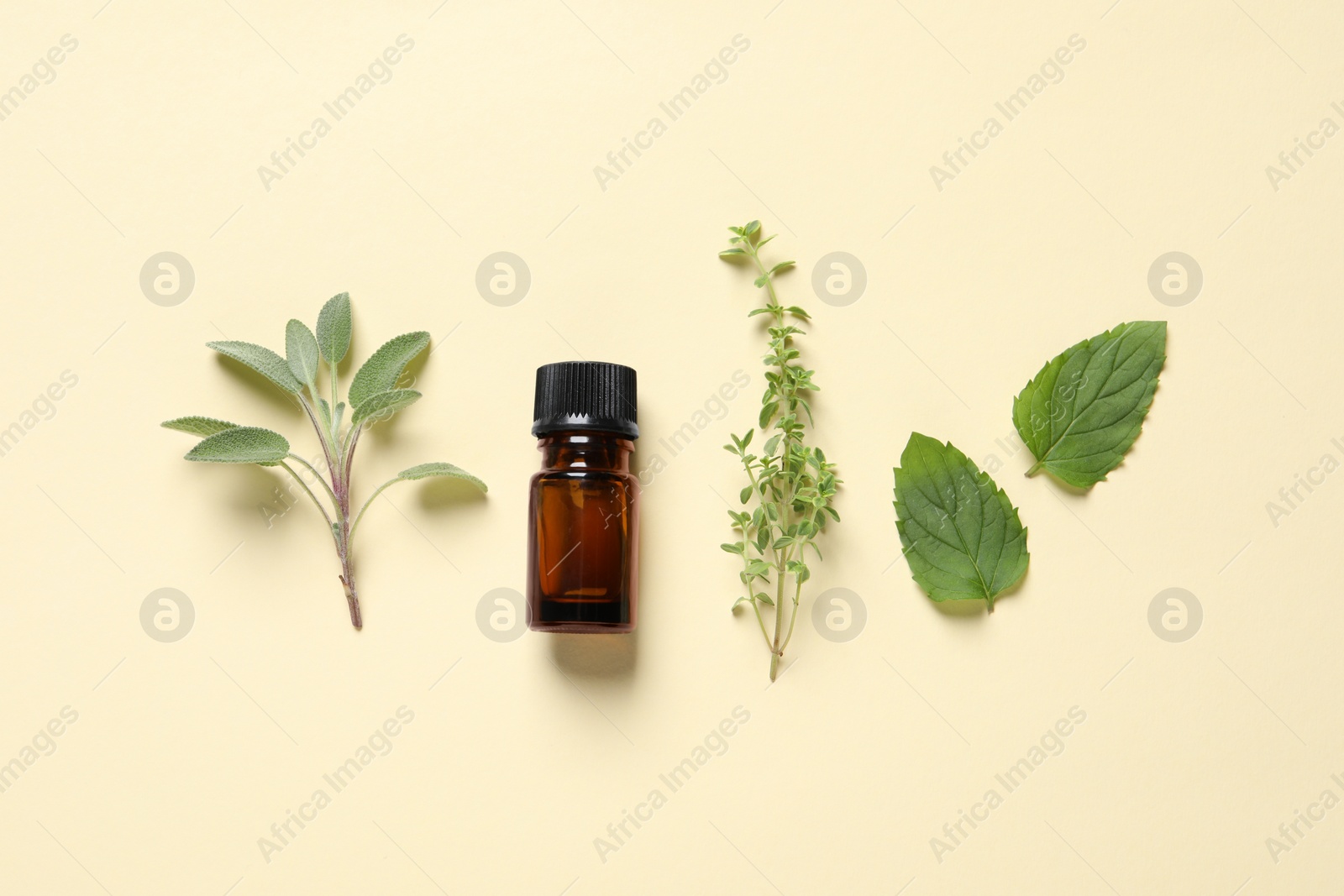 Photo of Bottle of essential oil and different herbs on beige background, flat lay