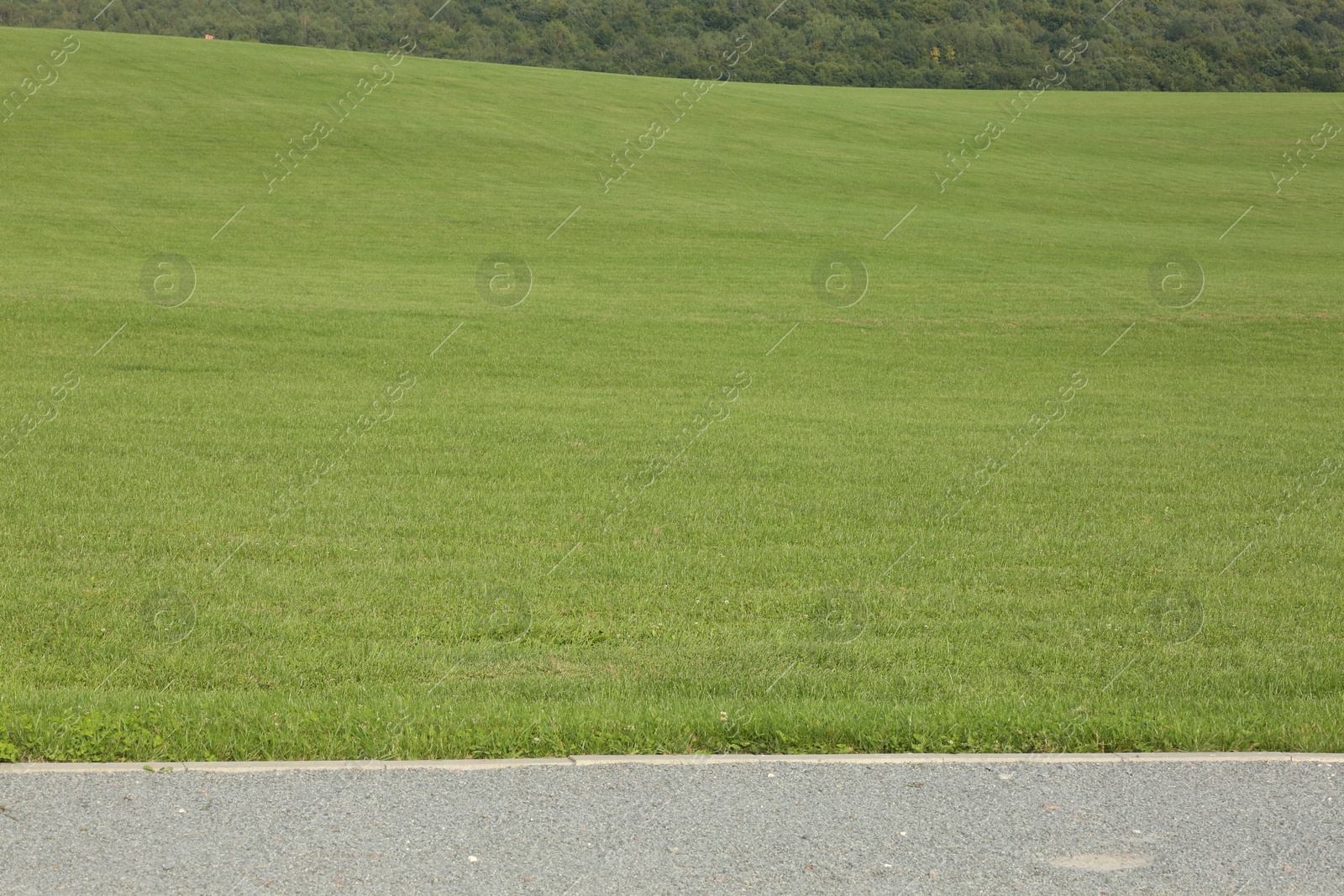 Photo of Beautiful lawn with bright green grass outdoors