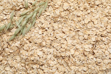 Photo of Oatmeal and florets as background, top view. Space for text