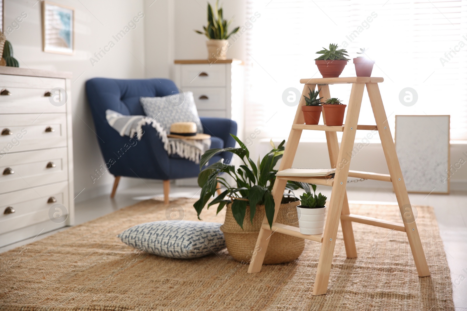 Photo of Stylish living room interior with wooden ladder and houseplants