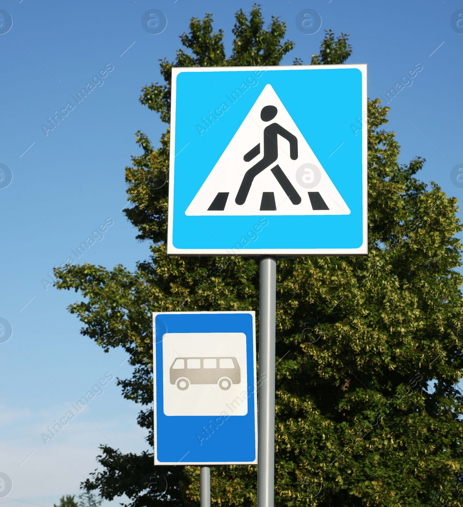 Photo of Traffic signs Pedestrian Crossing and Bus stop on city street