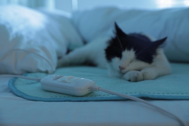 Photo of Cute cat in bed with electric heating pad, focus on cable