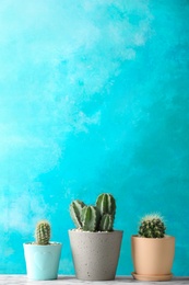 Photo of Beautiful cactuses in pots on table against color background