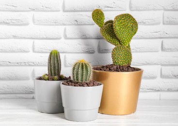 Many different beautiful cacti on white wooden table