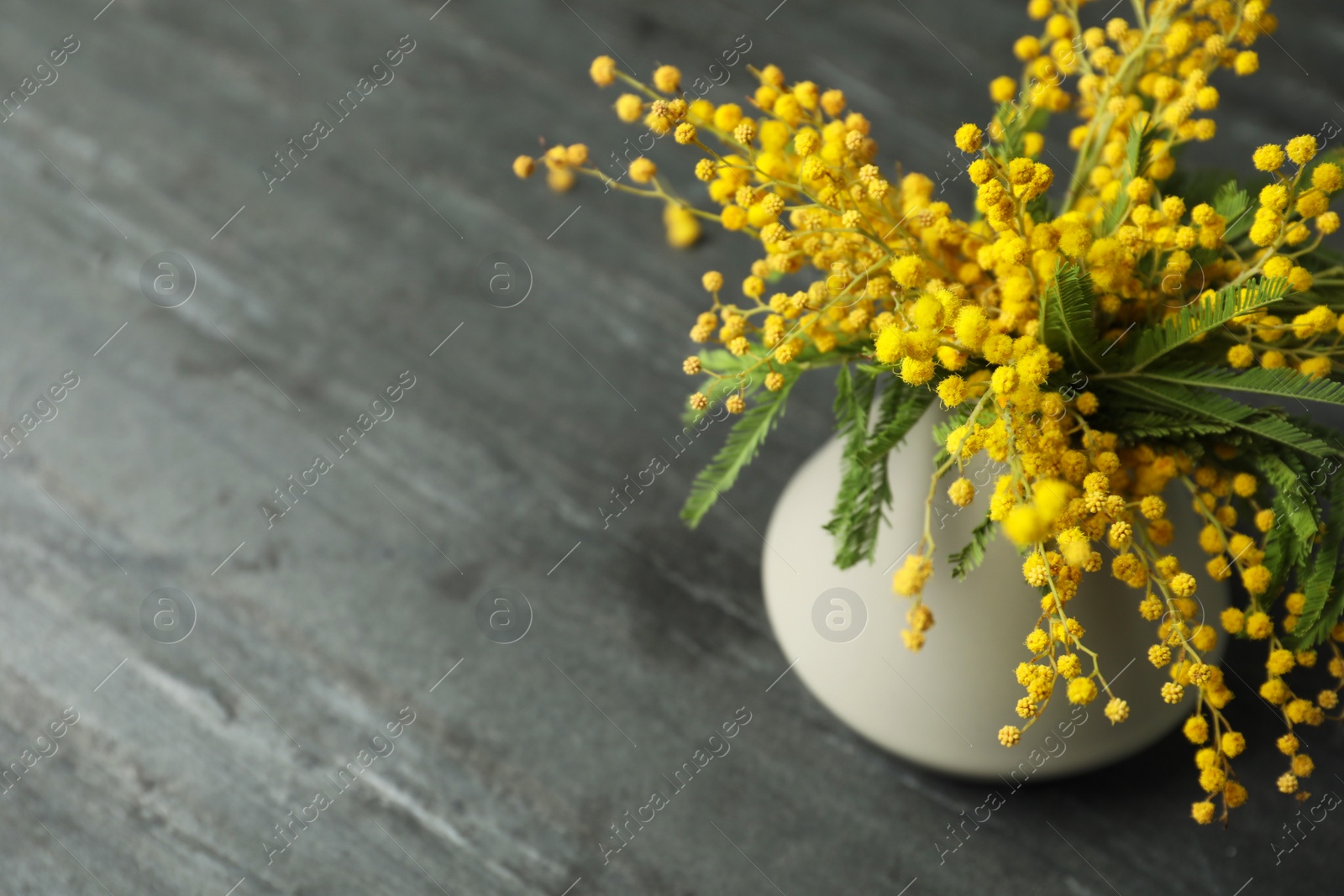 Photo of Bouquet of beautiful mimosa flowers on black background