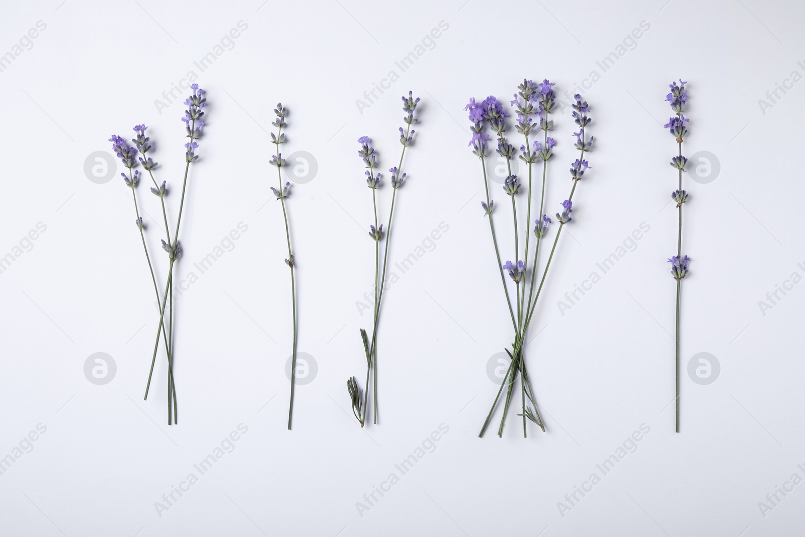 Photo of Beautiful aromatic lavender flowers on white background, flat lay