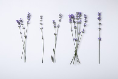 Beautiful aromatic lavender flowers on white background, flat lay