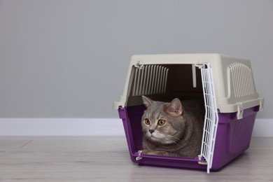 Photo of Travel with pet. Cute cat in carrier on floor near grey wall indoors, space for text