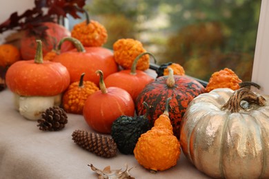 Photo of Different pumpkins and pine cones on window sill indoors
