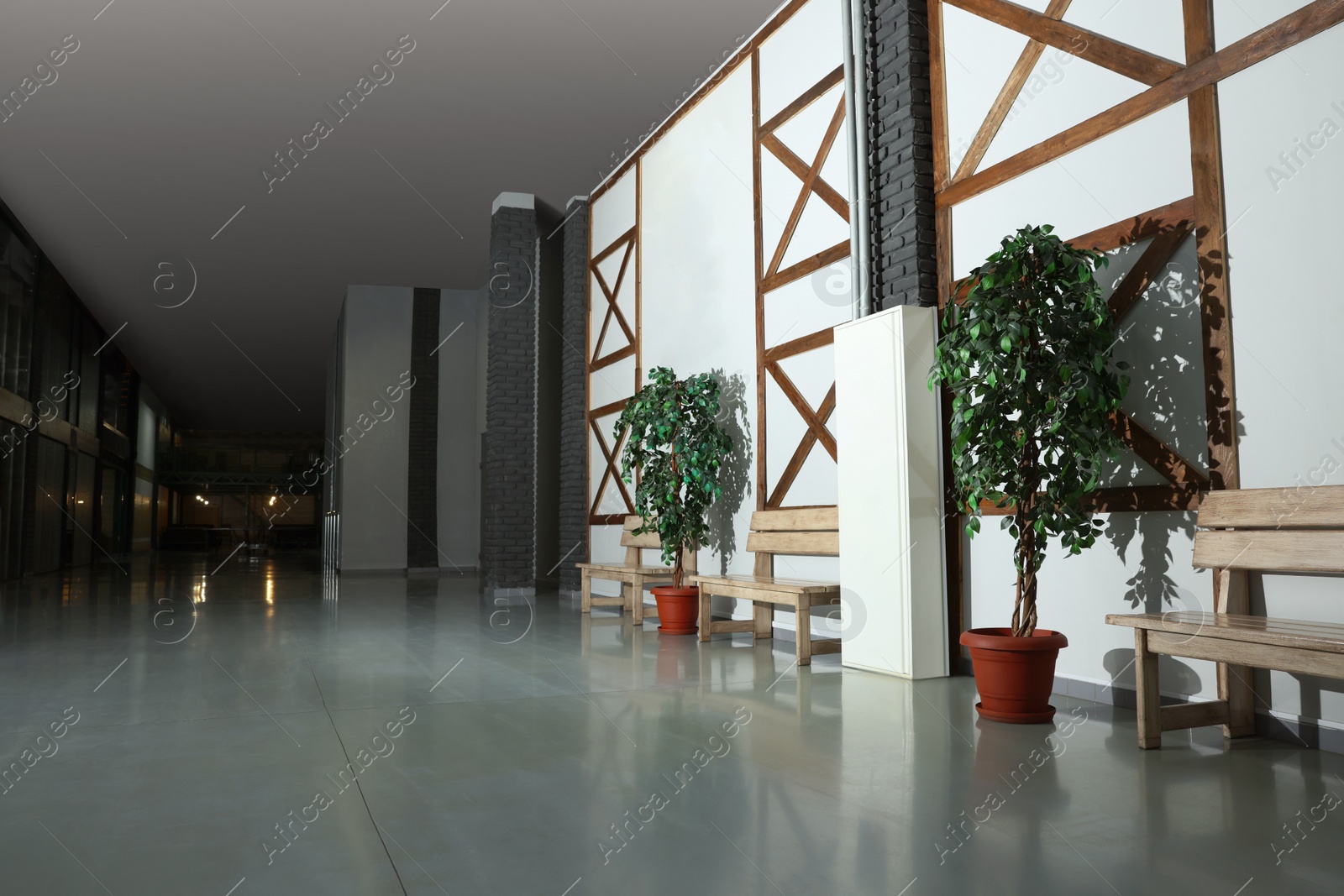 Photo of Modern empty office corridor with plants and benches