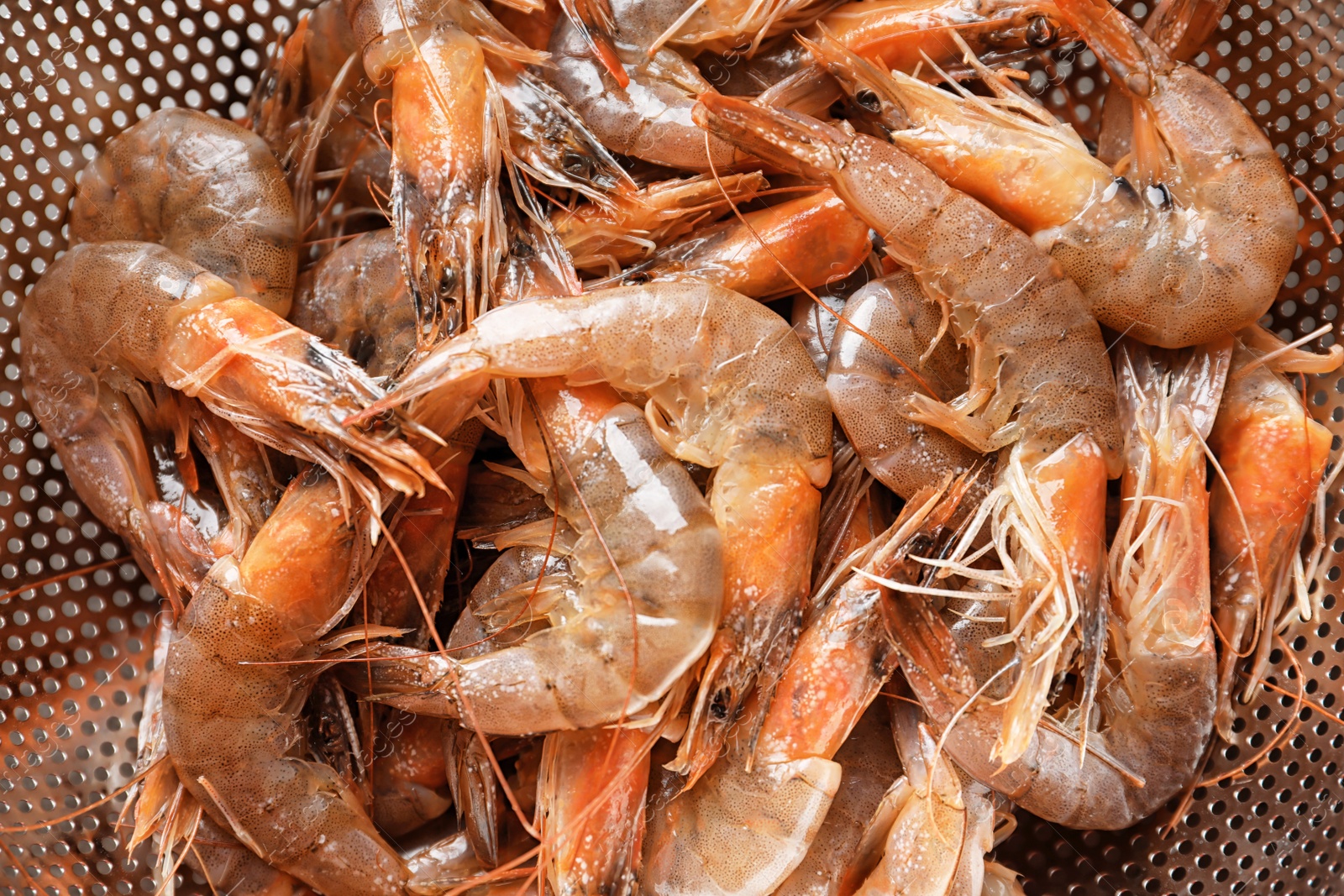 Photo of Colander with fresh shrimps, closeup