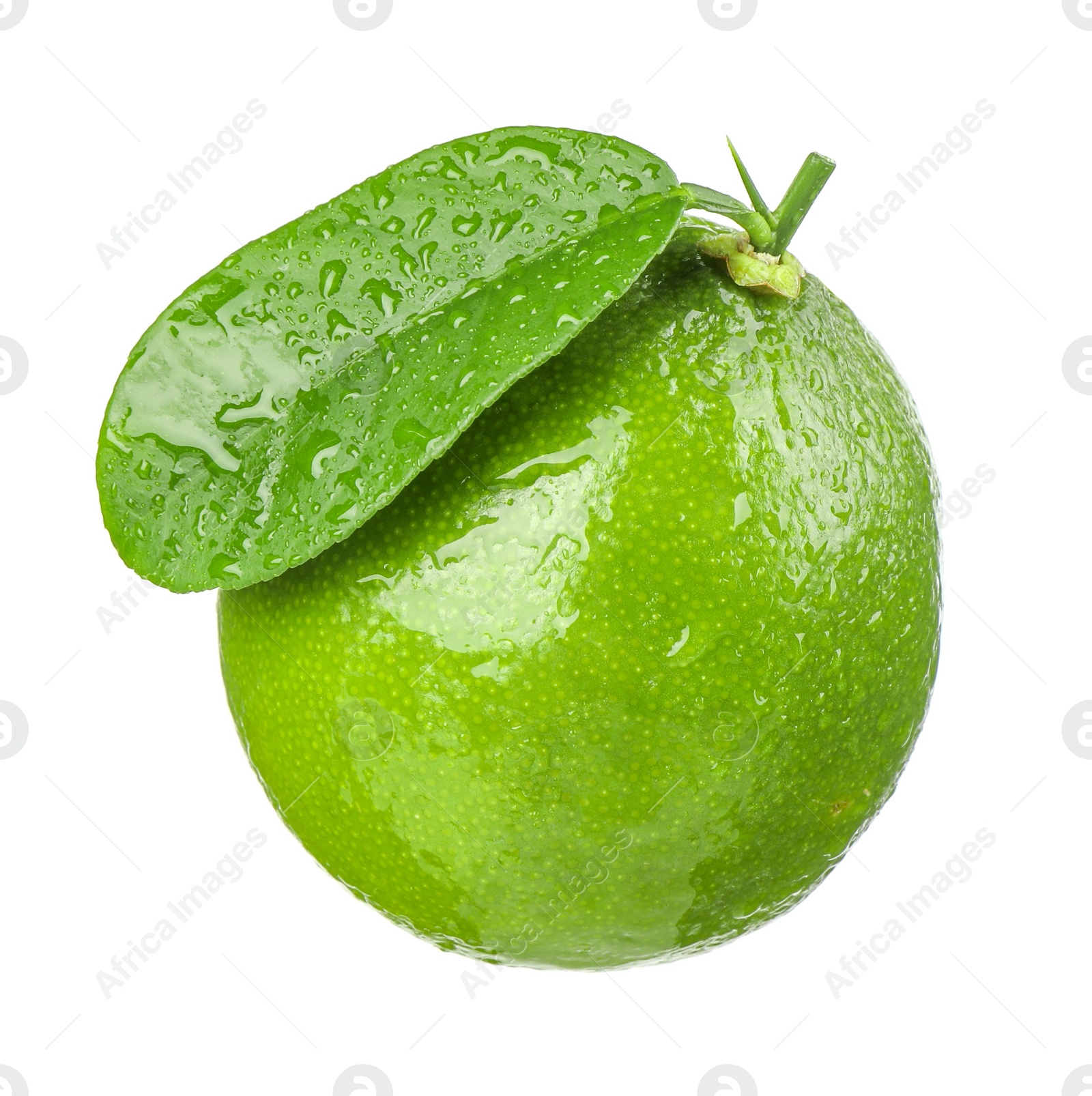 Photo of Fresh green ripe lime with wet leaf isolated on white