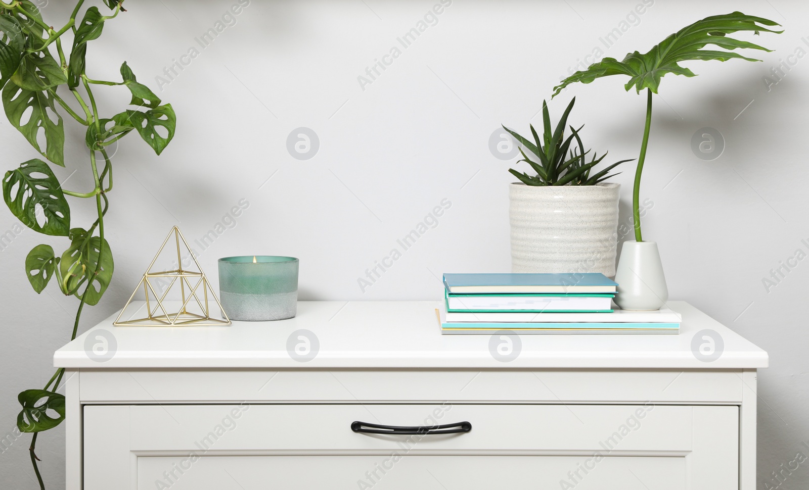 Photo of Chest of drawers with interior accessories and houseplants near white wall