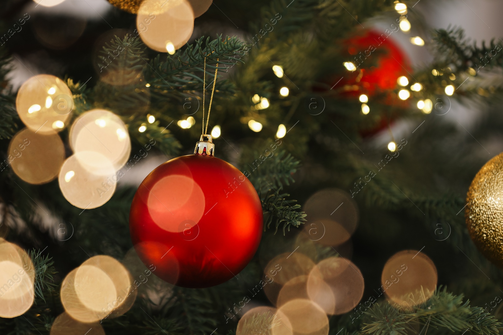 Photo of Christmas tree decorated with festive balls and lights, closeup