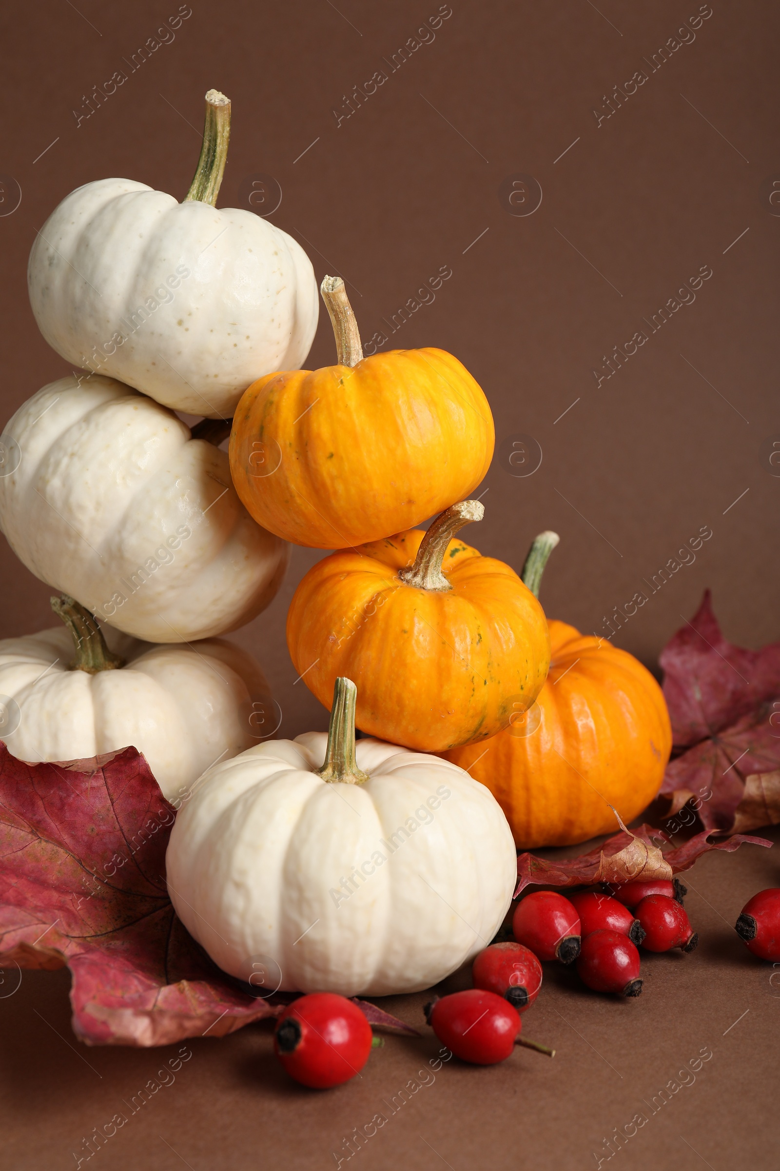 Photo of Thanksgiving day. Beautiful composition with pumpkins on brown background